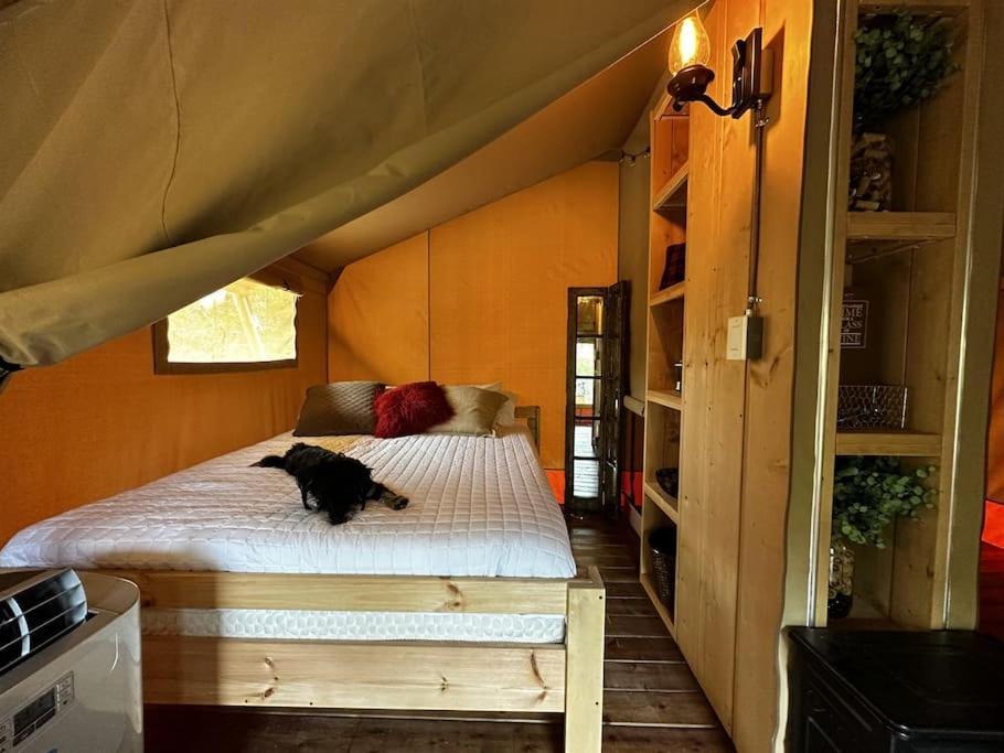 12 Fires Luxury Glamping With Heating #5 Hotel Johnson City Eksteriør billede